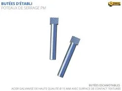 ETABLIS FRANCOIS ÉTABLIS FRANÇOIS - PM Paire De Poteaux De Serrage Petit Modèle ø15 Mm - Acier Galvanisé